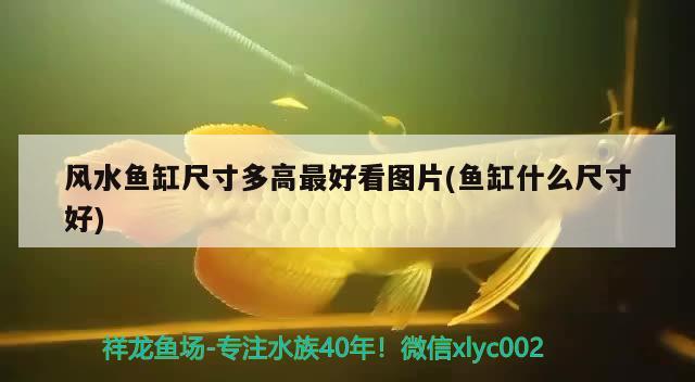 鱼缸过滤器安装示意图图解视频(鱼缸过滤器安装示意图图解视频大全) 名贵锦鲤鱼