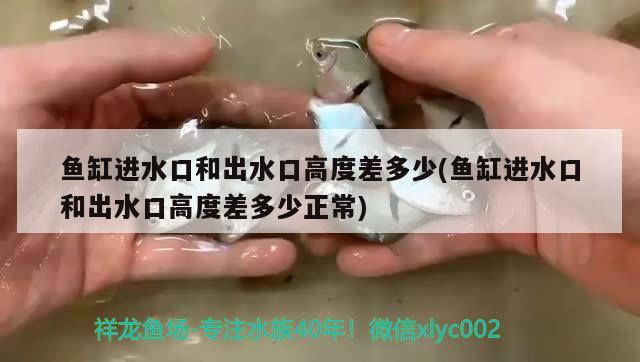 鱼缸进水口和出水口高度差多少(鱼缸进水口和出水口高度差多少正常)