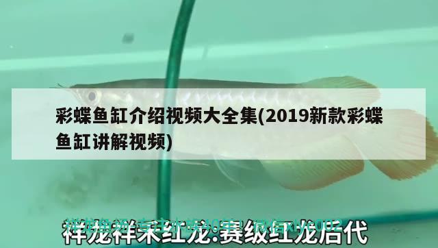 彩蝶鱼缸介绍视频大全集(2019新款彩蝶鱼缸讲解视频) 杀菌消毒设备