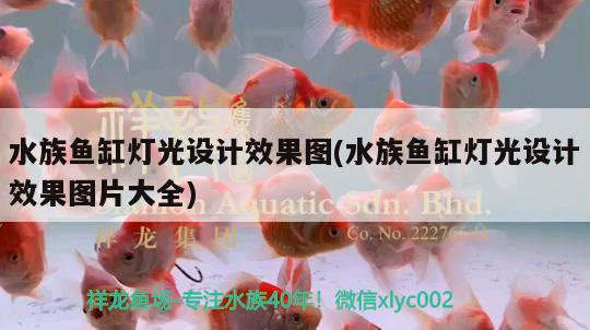 水族鱼缸灯光设计效果图(水族鱼缸灯光设计效果图片大全)