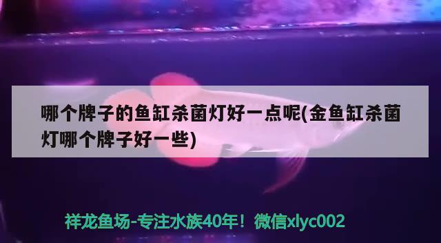 哪个牌子的鱼缸杀菌灯好一点呢(金鱼缸杀菌灯哪个牌子好一些) 锦鲤池鱼池建设