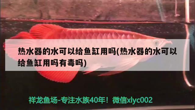 热水器的水可以给鱼缸用吗(热水器的水可以给鱼缸用吗有毒吗) 印尼虎苗