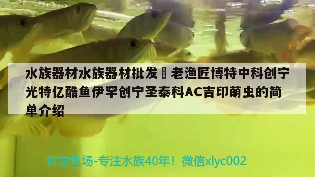 水族器材水族器材批发☞老渔匠博特中科创宁光特亿酷鱼伊罕创宁圣泰科AC吉印萌虫的简单介绍 伊罕水族