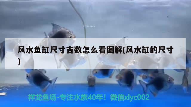 关于淮安鱼缸定做店地址查询电话的信息