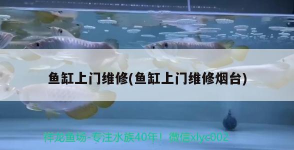 菜场鱼缸图片：菜市场鱼池图片 广州水族批发市场 第1张