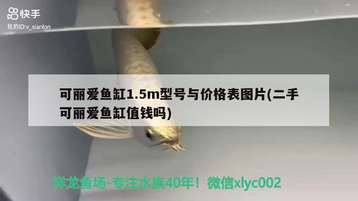 可丽爱鱼缸1.5m型号与价格表图片(二手可丽爱鱼缸值钱吗) 二氧化碳设备