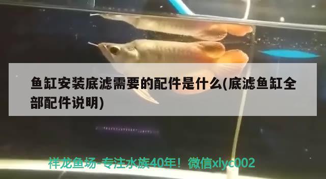 鱼缸安装底滤需要的配件是什么(底滤鱼缸全部配件说明) 朱巴利鱼