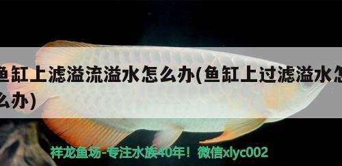 鱼缸底柜比鱼缸小2cm：鱼缸底柜比鱼缸小两毫米,影响吗?