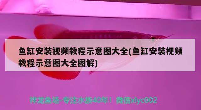 自制鱼缸底滤器：打造高效、经济的鱼缸底滤系统鱼缸底滤器，自制鱼缸底滤器视频教学：打造高效、经济的鱼缸底滤器