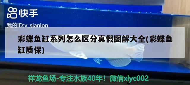 自制鱼缸底滤器：打造高效、经济的鱼缸底滤系统鱼缸底滤器，自制鱼缸底滤器视频教学：打造高效、经济的鱼缸底滤器