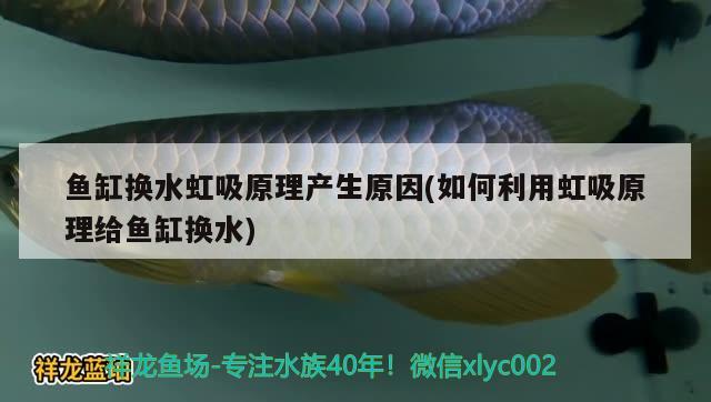 鱼缸换水虹吸原理产生原因(如何利用虹吸原理给鱼缸换水) 肥料