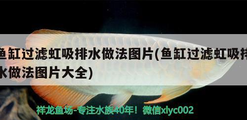 鱼缸过滤虹吸排水做法图片(鱼缸过滤虹吸排水做法图片大全) 祥龙赫舞红龙鱼