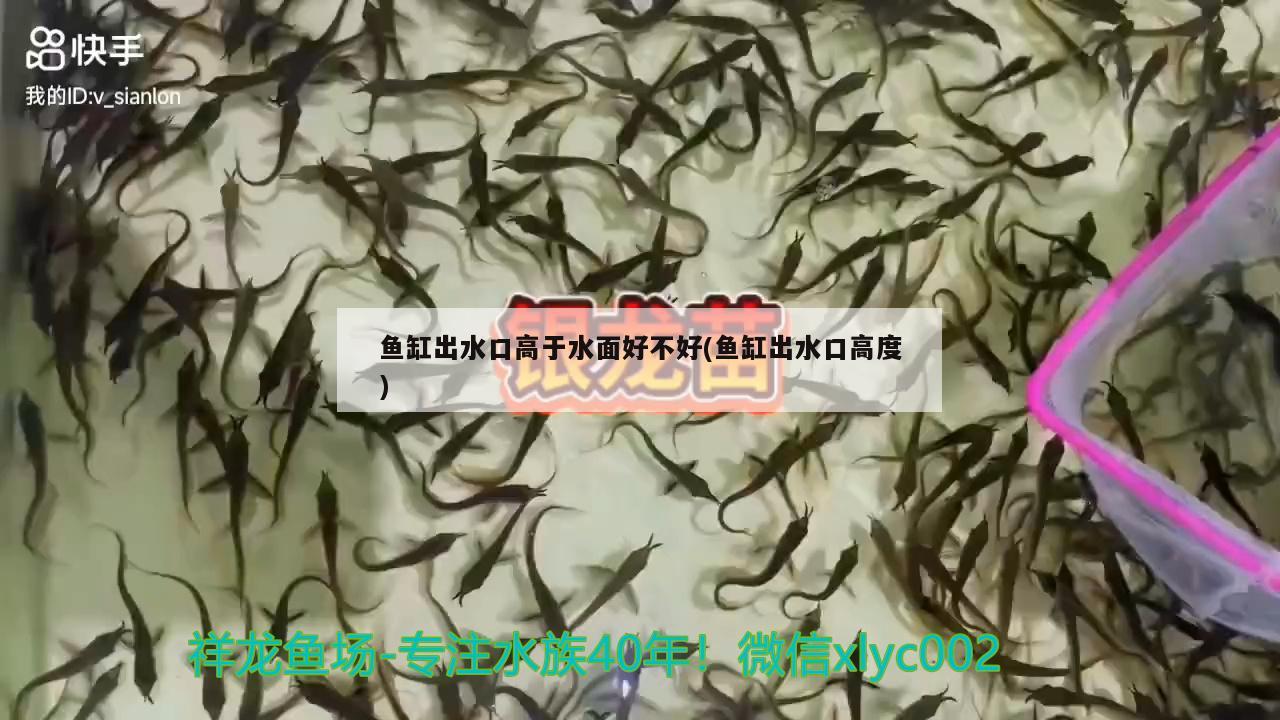 鱼缸出水口高于水面好不好(鱼缸出水口高度)