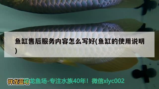 郴州卖鱼缸的地方在哪里：郴州卖鱼缸地方在哪里卖 广州水族批发市场 第1张