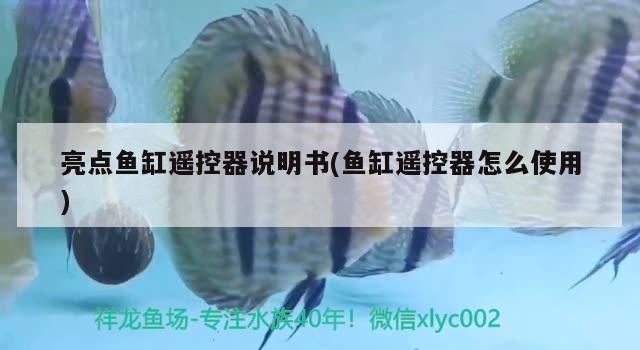 红龙鱼缸底用什么颜色的灯（红龙鱼用什么颜色背景） 水族灯（鱼缸灯） 第3张