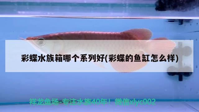 彩蝶水族箱哪个系列好(彩蝶的鱼缸怎么样) 鱼缸/水族箱