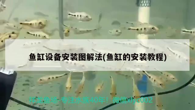 宁乡旺和花店 全国水族馆企业名录 第2张