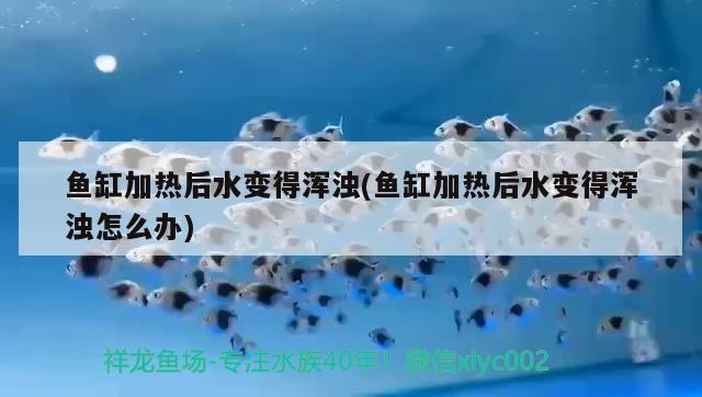 鱼缸加热后水变得浑浊(鱼缸加热后水变得浑浊怎么办) 水族杂谈