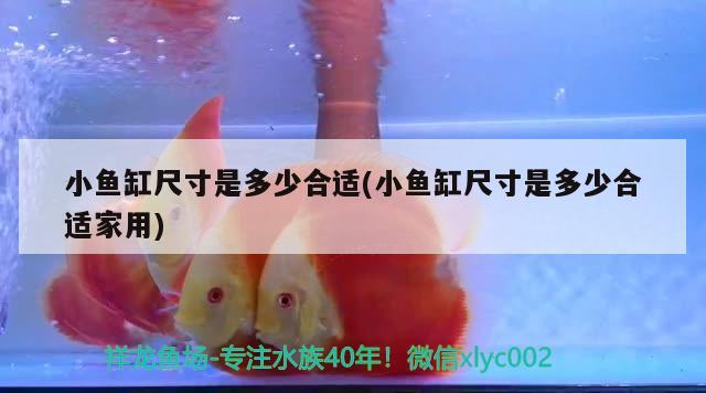 水族app哪个人多水族app哪个人多（水族app哪个人多用）的简单介绍