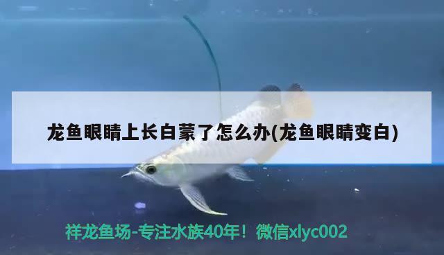 松原58同城二手鱼缸转让信息 买了一辆挂车，厂家没按我的尺寸制作，该怎么维权