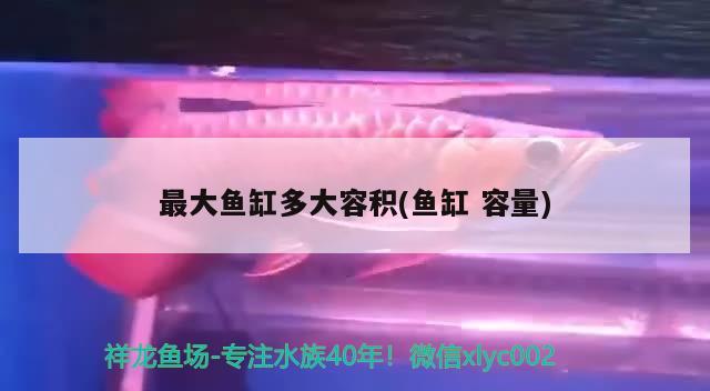 可以稳定喂了… 观赏鱼论坛 第2张