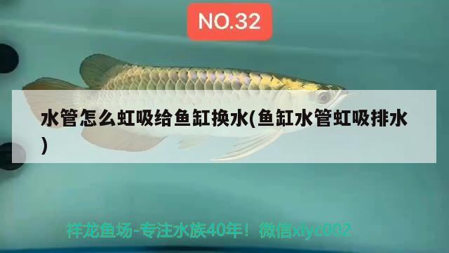 观赏鱼饲料钓鱼好用吗？（观赏鱼饲料钓鱼好用吗和观赏鱼饲料能钓鱼吗）