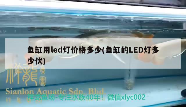 鱼缸用led灯价格多少(鱼缸的LED灯多少伏) 充氧泵