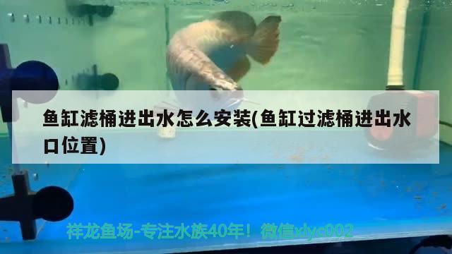 鱼缸滤桶进出水怎么安装(鱼缸过滤桶进出水口位置) 白玉红龙鱼