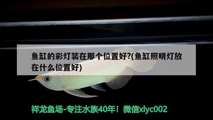 鱼缸的彩灯装在那个位置好?(鱼缸照明灯放在什么位置好) 非洲金鼓鱼