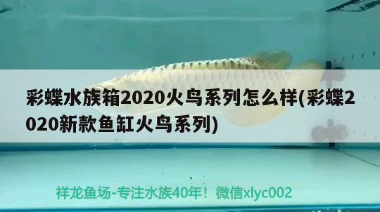 彩蝶水族箱2020火鸟系列怎么样(彩蝶2020新款鱼缸火鸟系列) 鱼缸/水族箱