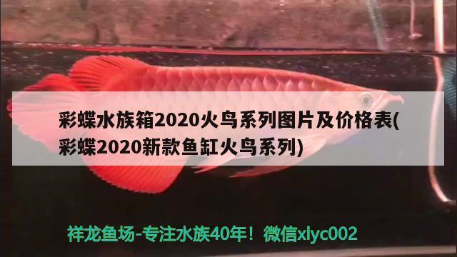 彩蝶水族箱2020火鸟系列图片及价格表(彩蝶2020新款鱼缸火鸟系列) 鱼缸/水族箱