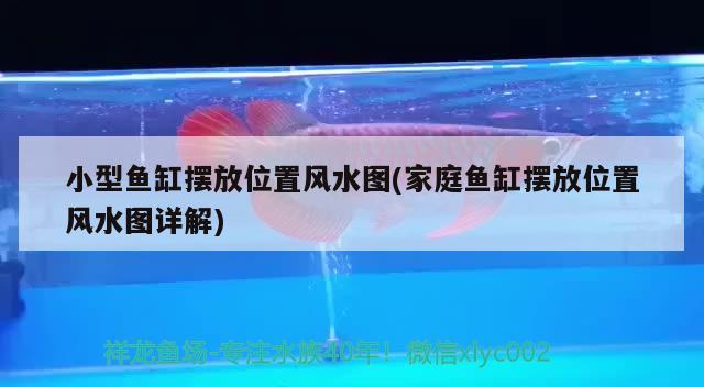 重庆观赏鱼基地批发市场的位置及介绍重庆观赏鱼基地批发市场特点，重庆观赏鱼基地批发市场的位置介绍 养鱼知识 第2张