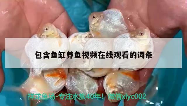 包含鱼缸养鱼视频在线观看的词条 iwish爱唯希品牌鱼缸 第2张