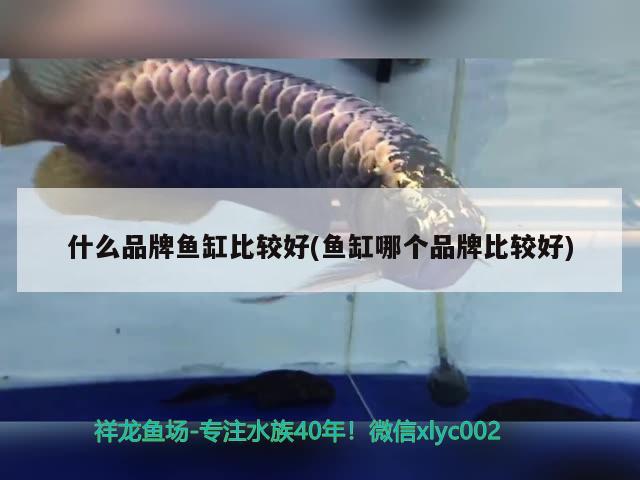 什么品牌鱼缸比较好(鱼缸哪个品牌比较好) 水族维护服务（上门）