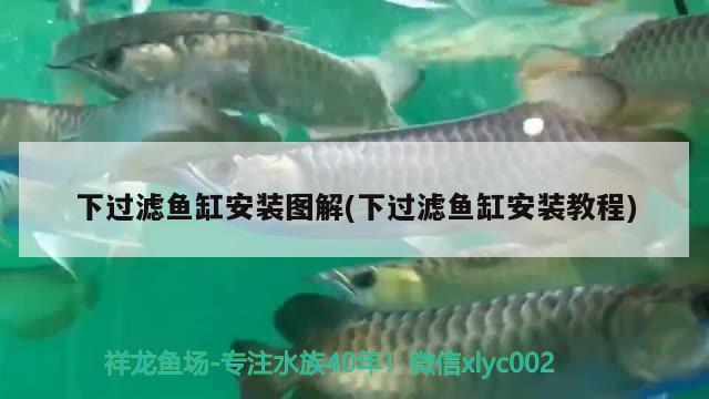 下过滤鱼缸安装图解(下过滤鱼缸安装教程) 过滤设备