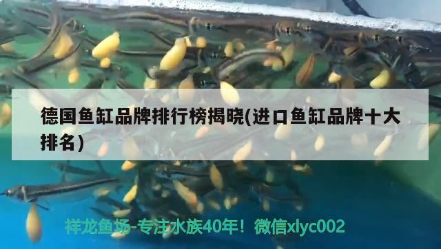 德国鱼缸品牌排行榜揭晓(进口鱼缸品牌十大排名) 水族灯（鱼缸灯）