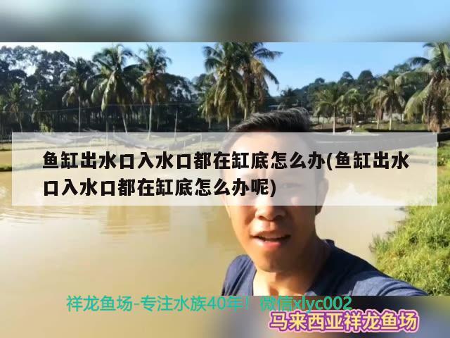 家用玻璃鱼缸怎么清洗（ 玻璃鱼缸怎么清洗水锈）