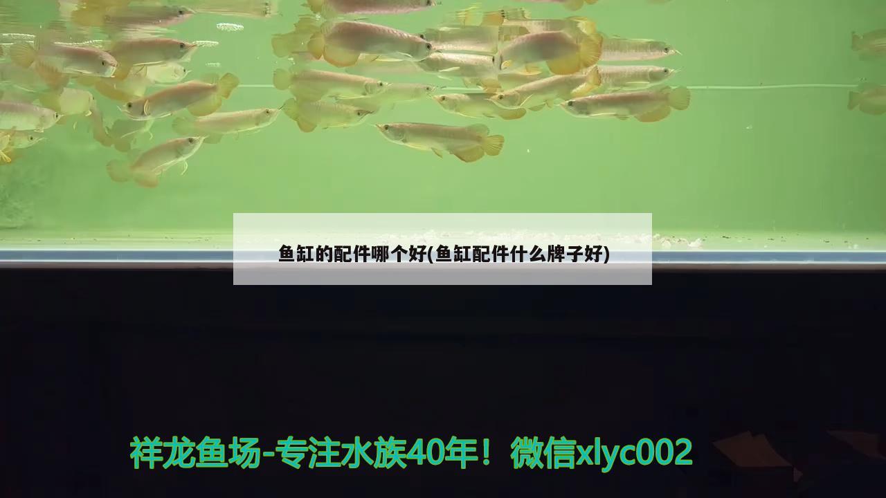 鱼缸的配件哪个好(鱼缸配件什么牌子好) 除藻剂