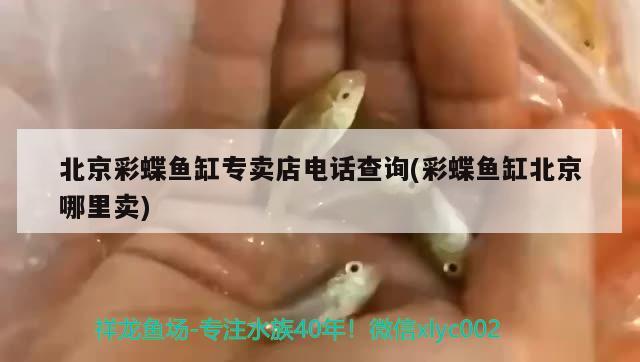 北京彩蝶鱼缸专卖店电话查询(彩蝶鱼缸北京哪里卖) 祥龙水族滤材/器材