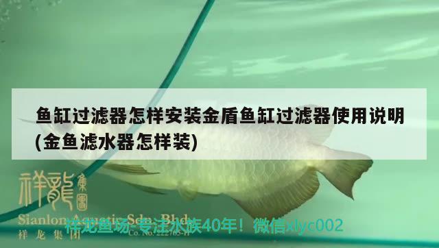 鱼缸过滤器怎样安装金盾鱼缸过滤器使用说明(金鱼滤水器怎样装)