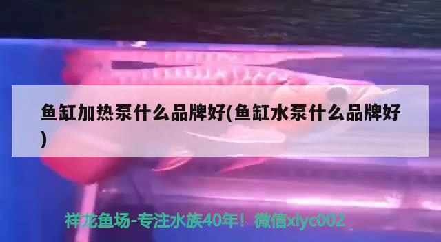 鱼缸加热泵什么品牌好(鱼缸水泵什么品牌好) 鱼缸水泵