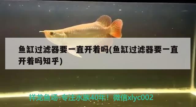 红龙鱼灯光使用方法（红龙鱼灯光位置示意图） 水族灯（鱼缸灯） 第2张