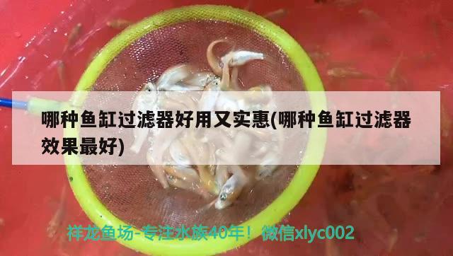 鱼缸水泵十大名牌（底滤鱼缸十大名牌）