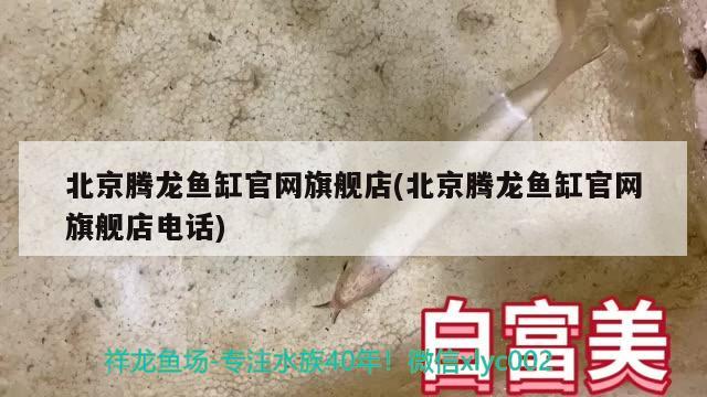 北京腾龙鱼缸官网旗舰店(北京腾龙鱼缸官网旗舰店电话)