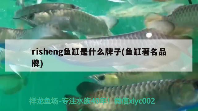 risheng鱼缸是什么牌子(鱼缸著名品牌)