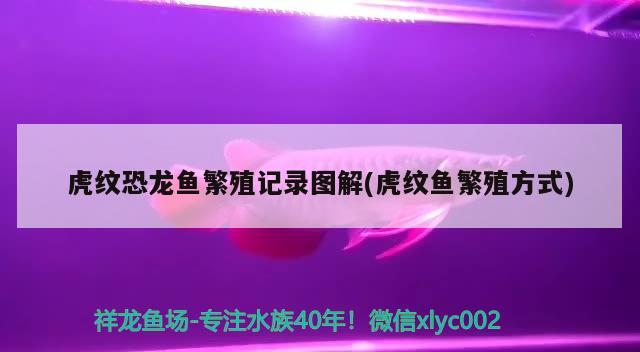 山东乐景鱼缸厂家地址电话查询 乐陵鱼缸批发市场地址 养鱼的好处 第1张