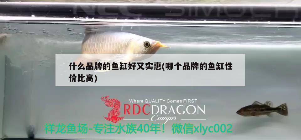 什么品牌的鱼缸好又实惠(哪个品牌的鱼缸性价比高) 观赏鱼水族批发市场