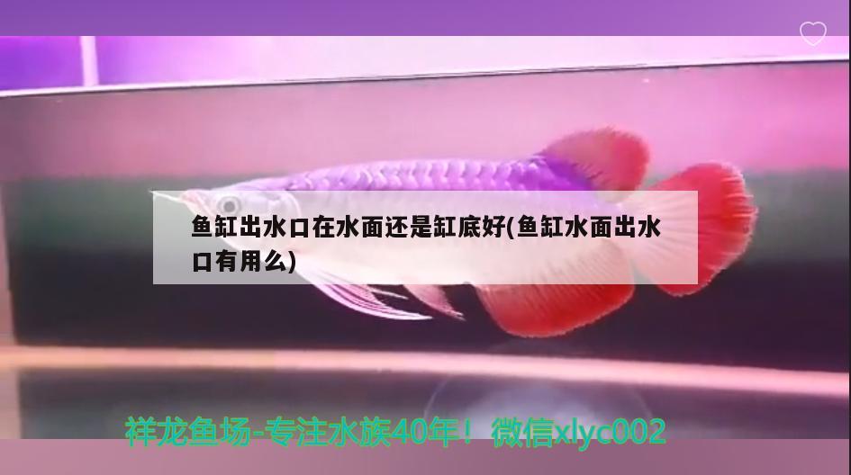 鱼缸出水口在水面还是缸底好(鱼缸水面出水口有用么)