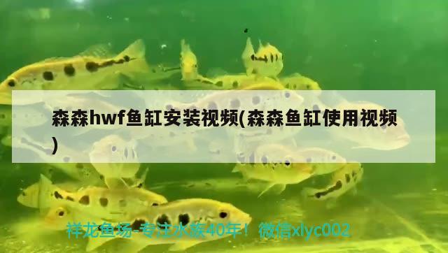 森森hwf鱼缸安装视频(森森鱼缸使用视频)