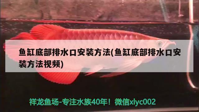 鱼缸底部排水口安装方法(鱼缸底部排水口安装方法视频) 野彩鱼